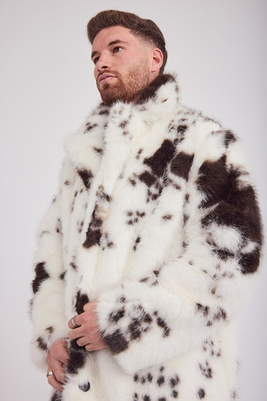 The Coat NH + בלי כובע פרה חום לבן